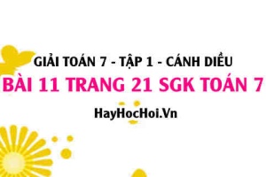 Giải bài 11 trang 21 Toán 7 Tập 1 SGK Cánh Diều